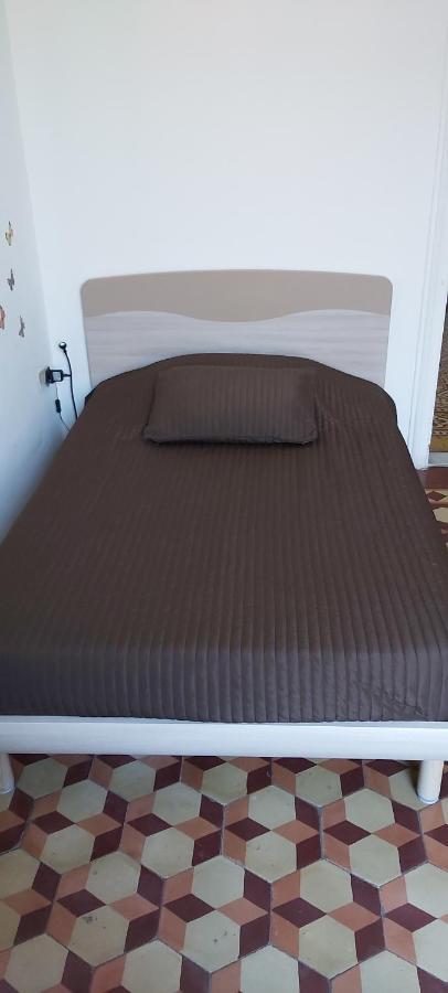 Arena Alfieri B&B Livorno Zewnętrze zdjęcie
