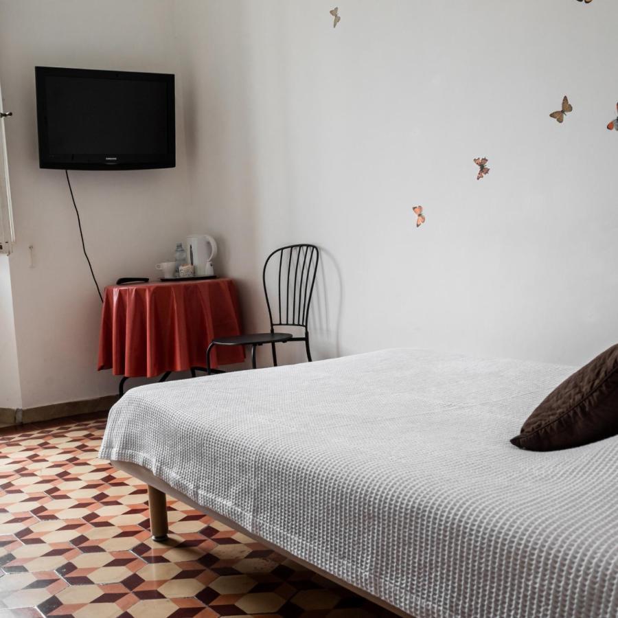 Arena Alfieri B&B Livorno Zewnętrze zdjęcie