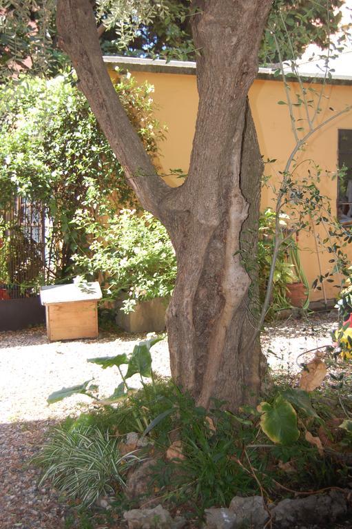 Arena Alfieri B&B Livorno Zewnętrze zdjęcie